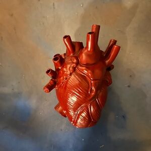 Red Anatomical Heart Sculpture/ Vase